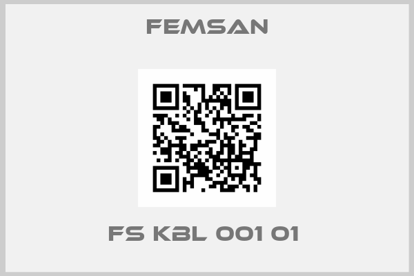 FEMSAN-FS KBL 001 01 