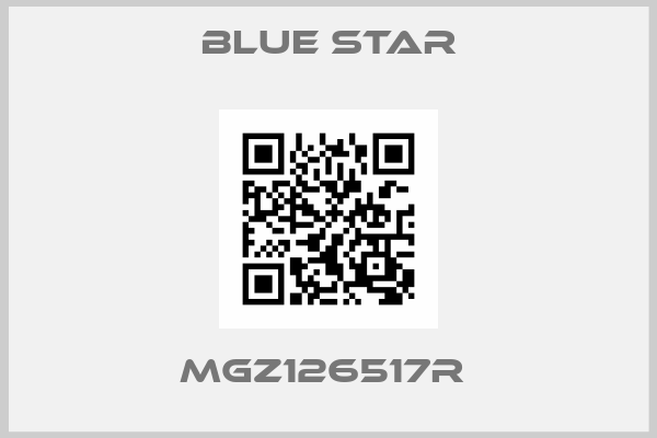 BLUE STAR-MGZ126517R 