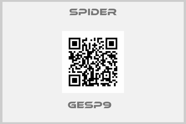 Spider-GESP9  