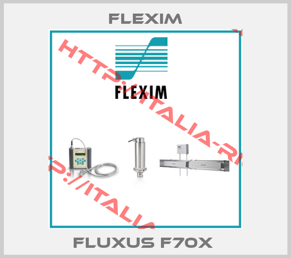 Flexim-Fluxus F70X 