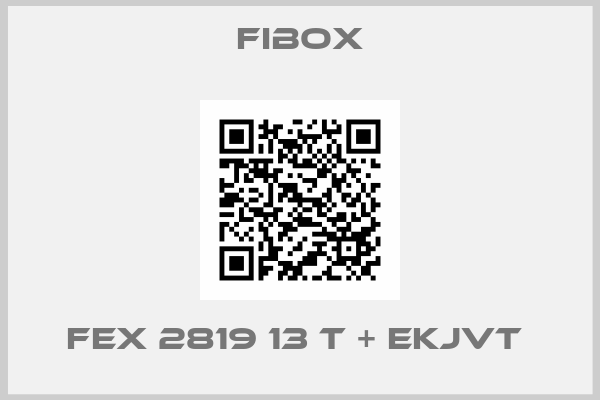 Fibox-FEX 2819 13 T + EKJVT 