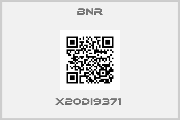BNR-X20DI9371 