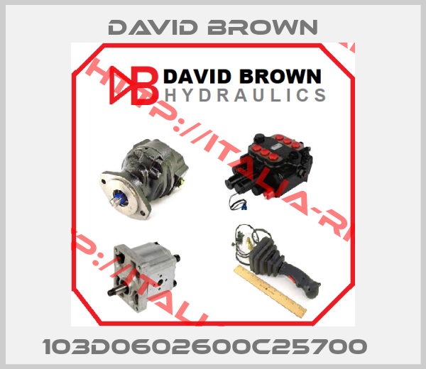David Brown-103D0602600C25700  
