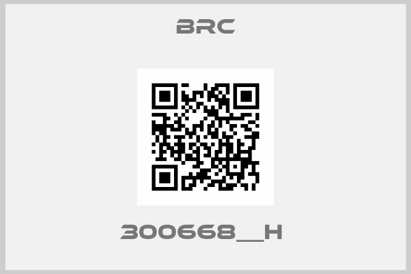 Brc-300668__H 
