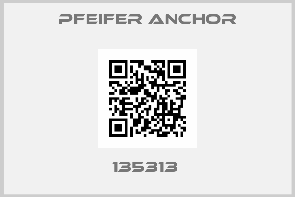 Pfeifer Anchor-135313 