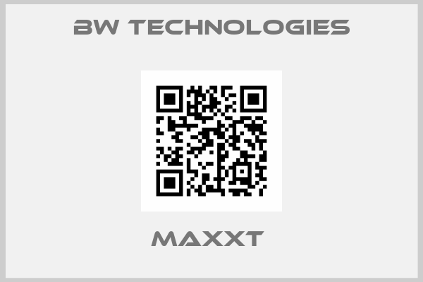 BW Technologies-MaxXT 