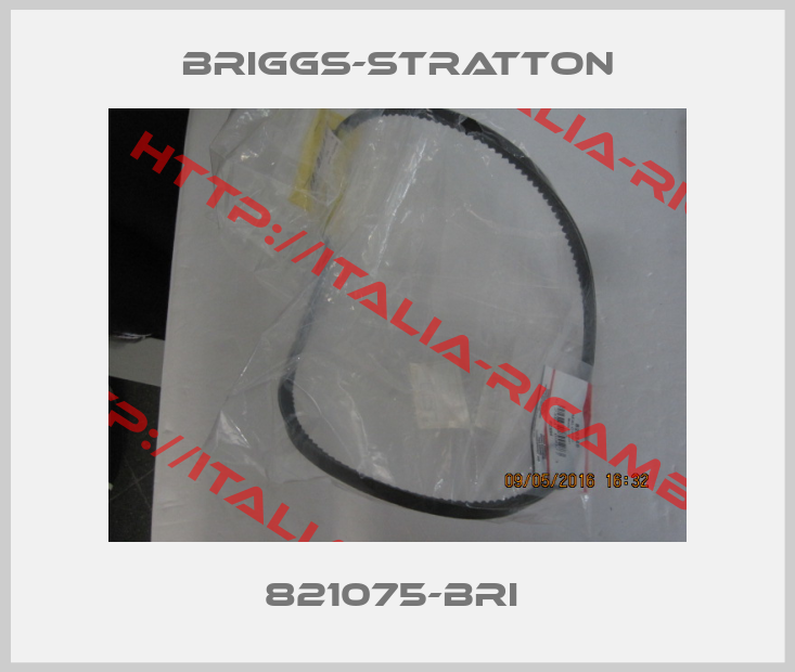 Briggs-Stratton-821075-BRI 