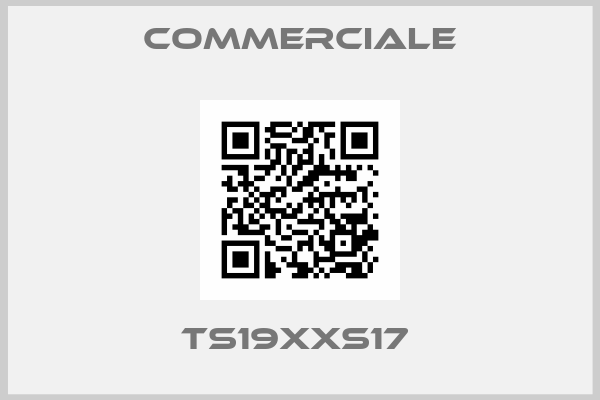 Commerciale-TS19XXS17 