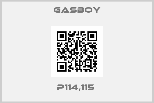 Gasboy-P114,115 