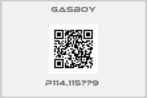 Gasboy-P114,115　＃9 