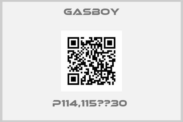 Gasboy-P114,115　＃30 