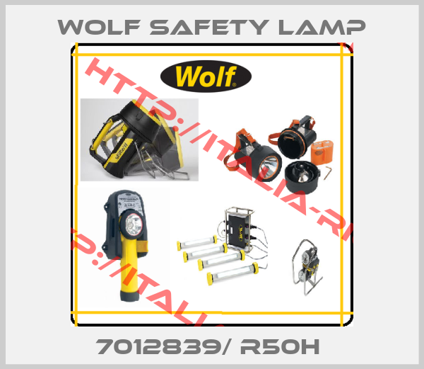 Wolf Safety Lamp-7012839/ R50H 