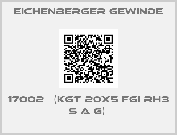Eichenberger Gewinde-17002   (KGT 20x5 FGI RH3 S A G) 