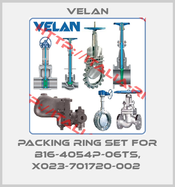 Velan-PACKING RING SET for B16-4054P-06TS, X023-701720-002 