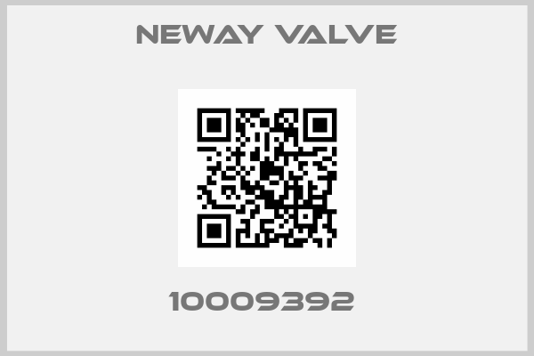 Neway Valve-10009392 