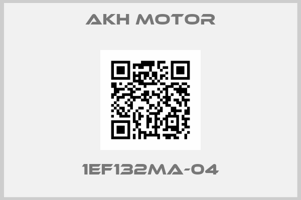AKH Motor-1EF132MA-04