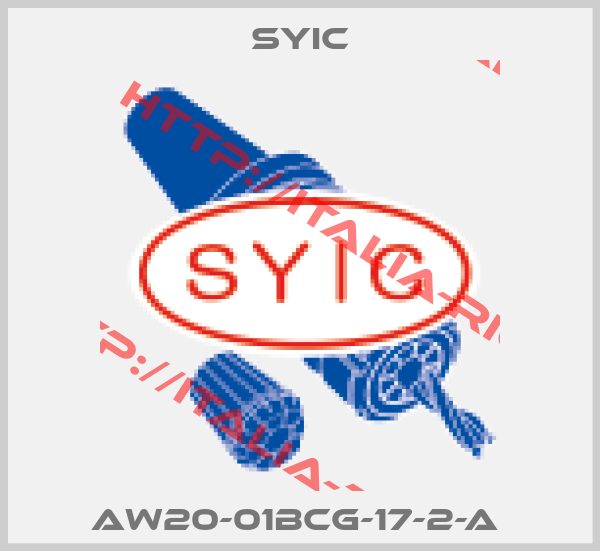 SYIC-AW20-01BCG-17-2-A 