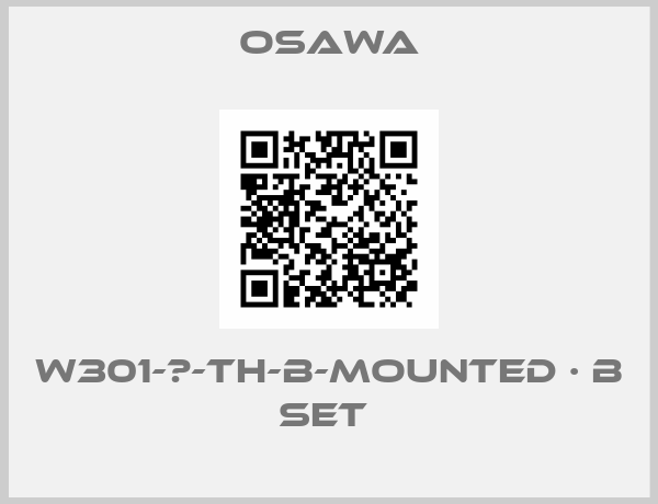 Osawa-W301-Ⅱ-TH-B-mounted · B set 