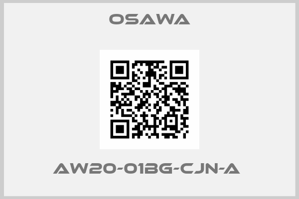 Osawa-AW20-01BG-CJN-A 