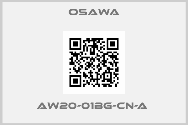 Osawa-AW20-01BG-CN-A 