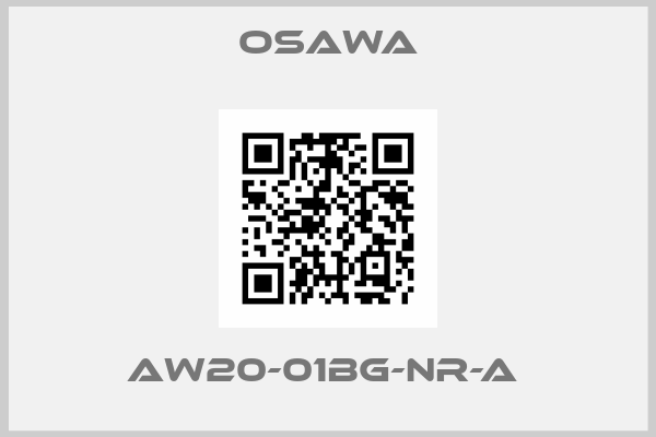 Osawa-AW20-01BG-NR-A 