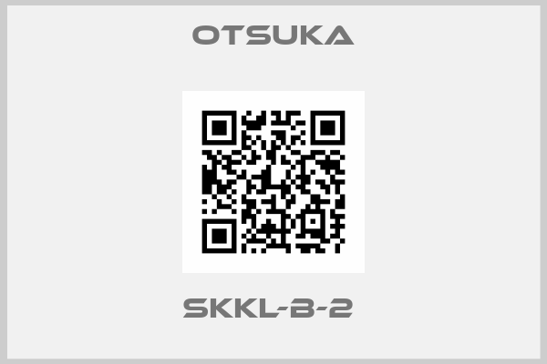 OTSUKA-SKKL-B-2 