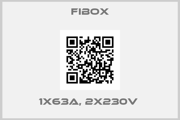 Fibox-1X63A, 2X230V 