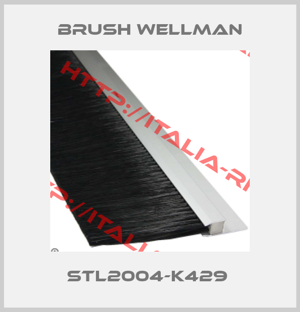 Brush Wellman-STL2004-K429 