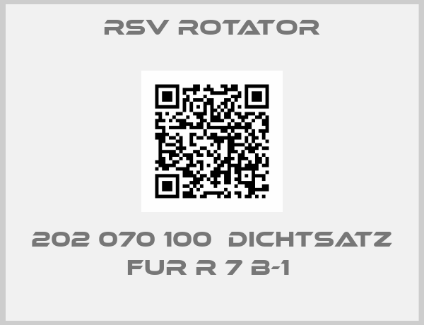 RSV ROTATOR-202 070 100  DICHTSATZ FUR R 7 B-1 