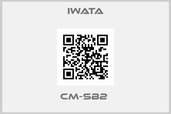 Iwata-CM-SB2 