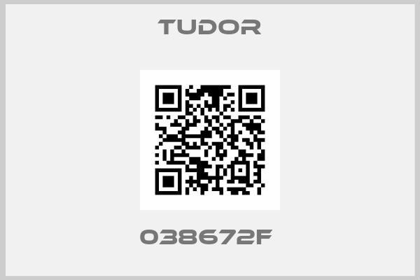 Tudor-038672F 