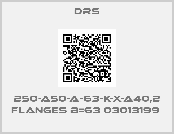 DRS-250-A50-A-63-K-X-A40,2 flanges B=63 03013199 