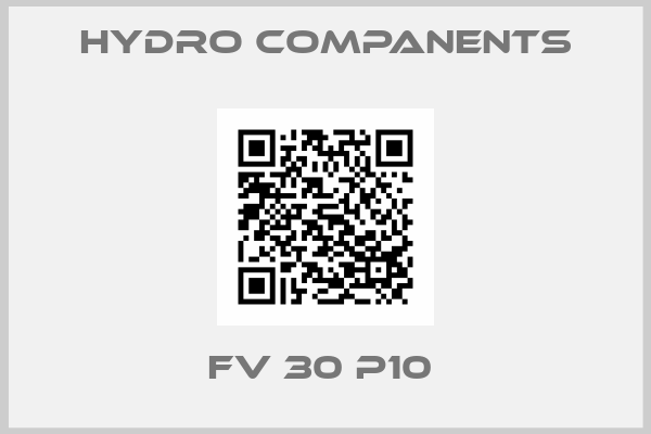 Hydro Companents-FV 30 P10 