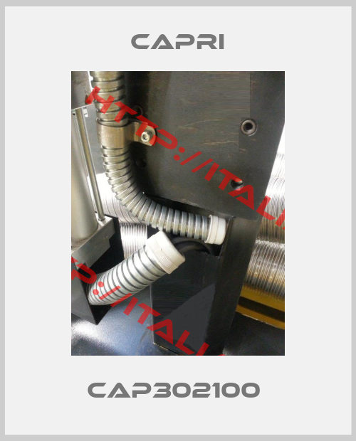 CAPRI-CAP302100 